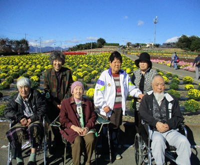 小菊の里見学