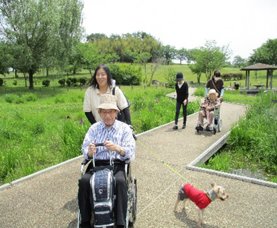 大室公園菖蒲見学